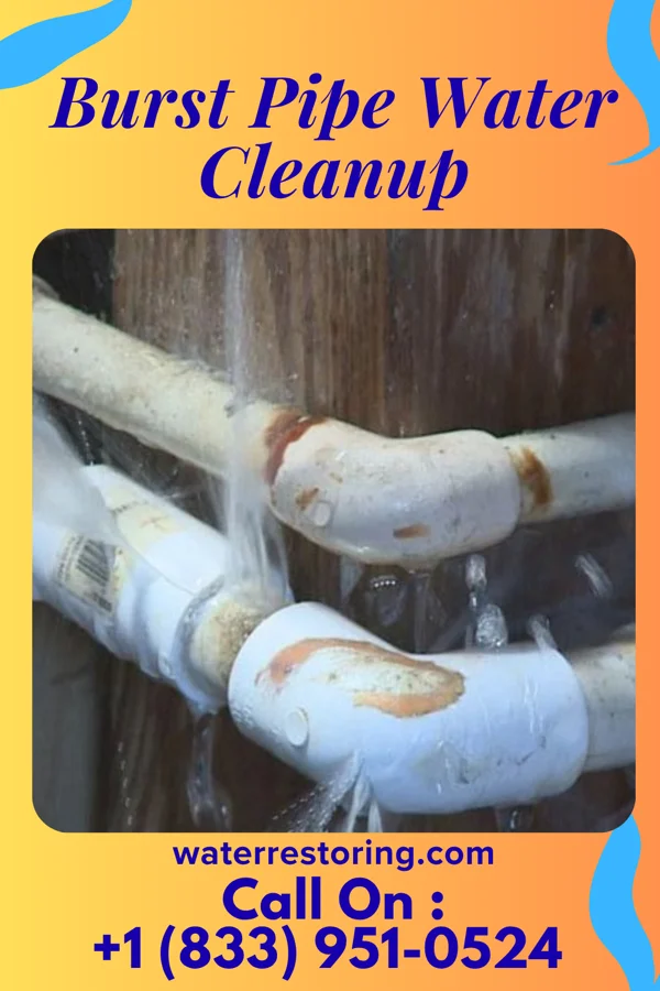 Burst Pipe Water Cleanup in Sugar Creek, MO