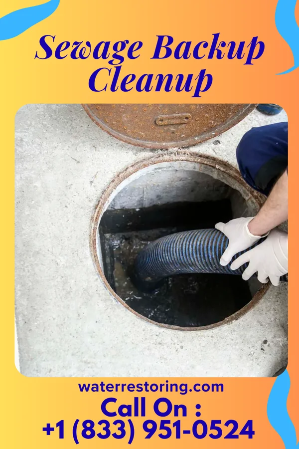 Sewage Backup Cleanup in Sugar Creek, MO