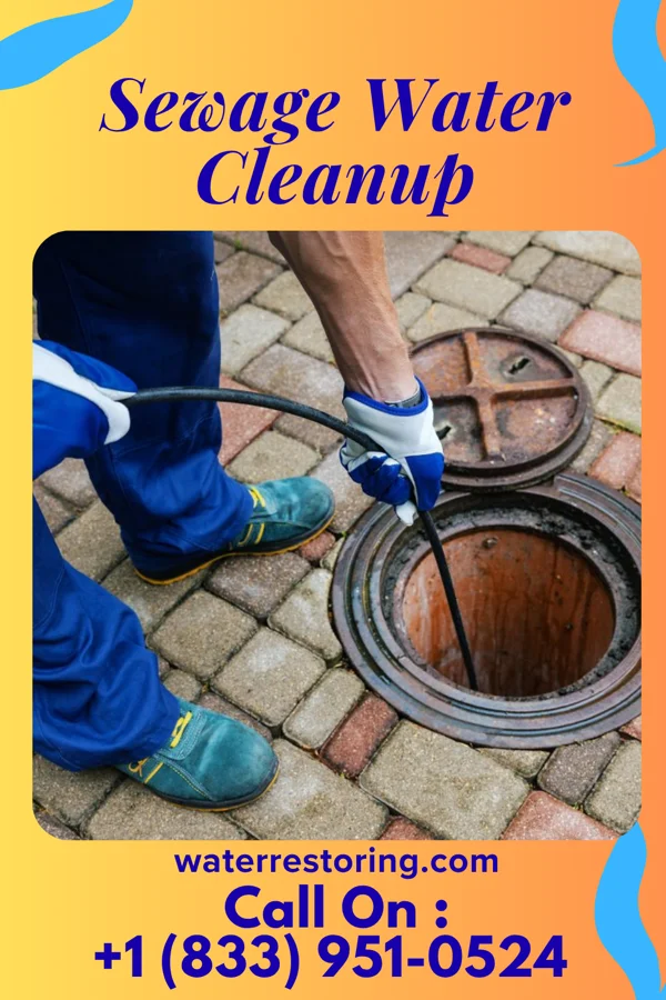 Sewage Water Cleanup in Sugar Creek, MO