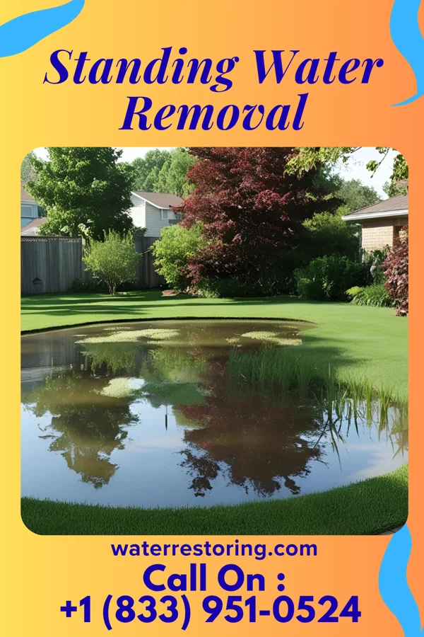 Standing Water Removal in Sugar Creek, MO